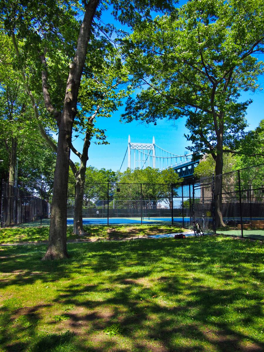 The RFK (Triborough) Bridge framed by the mature trees surrounding Astoria Park's tennis courts.
